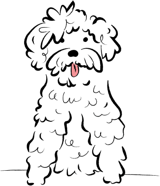 dog-01 1