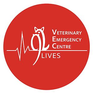 9-Lives-Veterinary-Hospital-(Kennedy-Town)