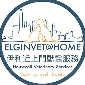 Elgin-Vet-Housecall-Service