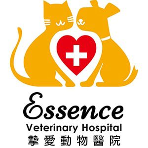 Essence-Veterinary-Hospital