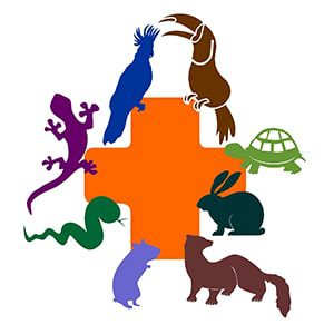 Heung-Wo-Exotic-Veterinary-Centre