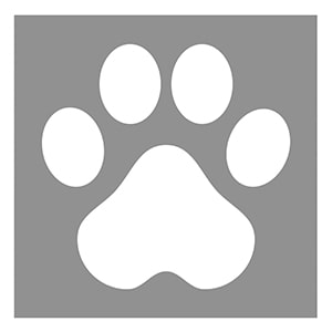Lamma-Veterinary-Clinic