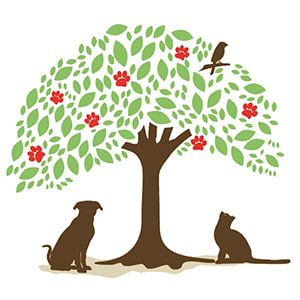 Maple-Veterinary-Hospital