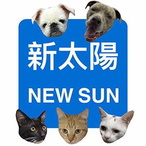 New-Sun-Veterinary-Clinic