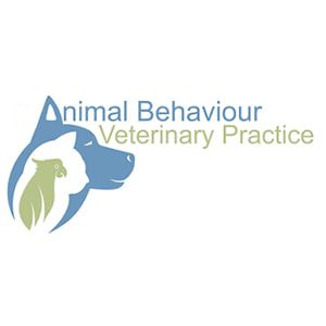 Pet-Behaviour-HK