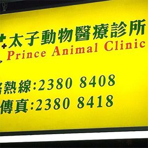 Prince-Animal-Clinic